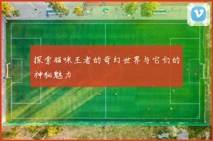 探索猫咪王者的奇幻世界与它们的神秘魅力