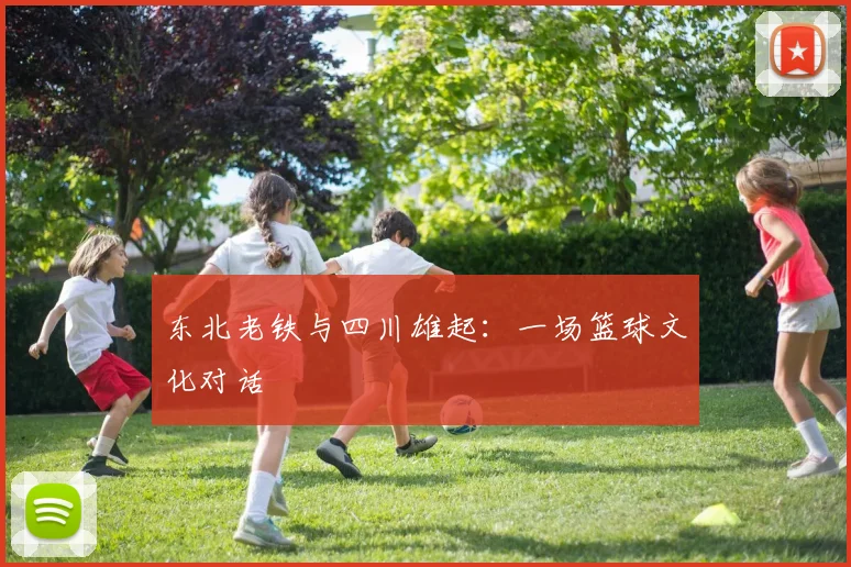 东北老铁与四川雄起：一场篮球文化对话