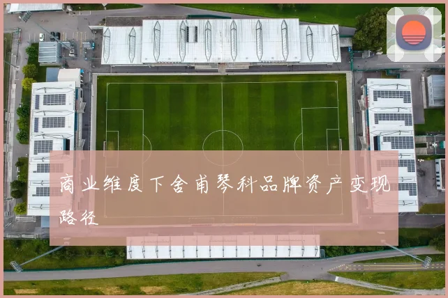 商业维度下舍甫琴科品牌资产变现路径