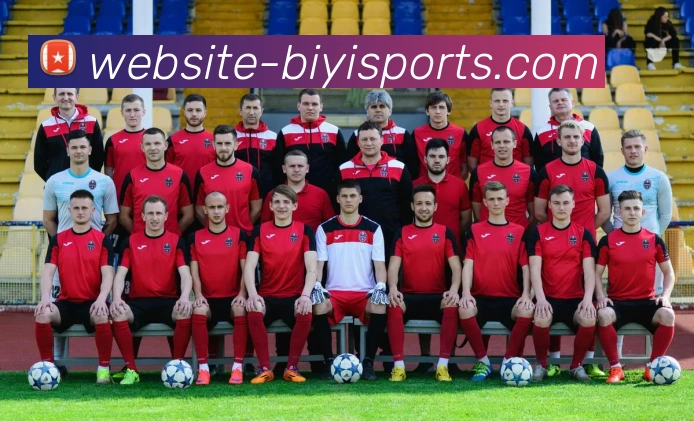 必一体育平台生态图