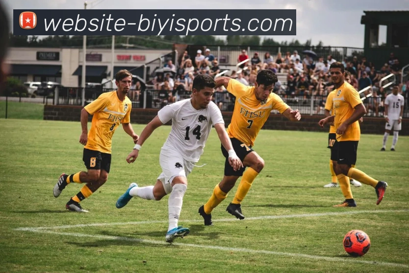 必一体育APP 封面图