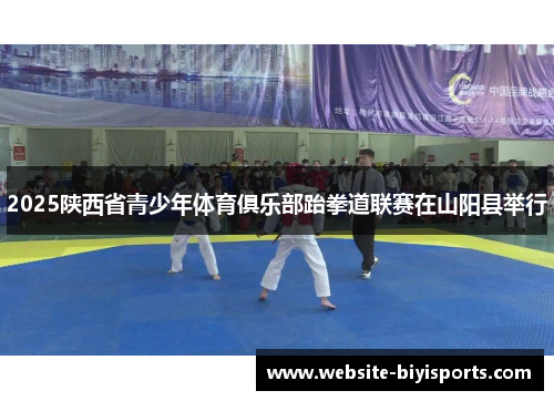 2025陕西省青少年体育俱乐部跆拳道联赛在山阳县举行